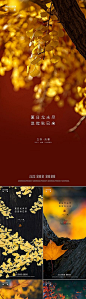 立秋处暑系列海报