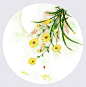 小菊花