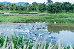 发条陳采集到【A景观---专项/河道改造】