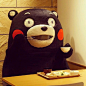 #kumamon#早早早！！！早饭一定要吃mon~