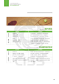 imgOfPdf