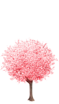 粉色小树
png 植物花卉