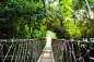 三亚亚龙湾热带天堂森林公园.jpeg (2000×1333)