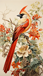 中国风花鸟画插画素材分享 - 小红书