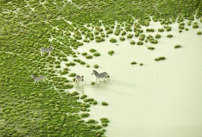 Botswana / Zack Seck...