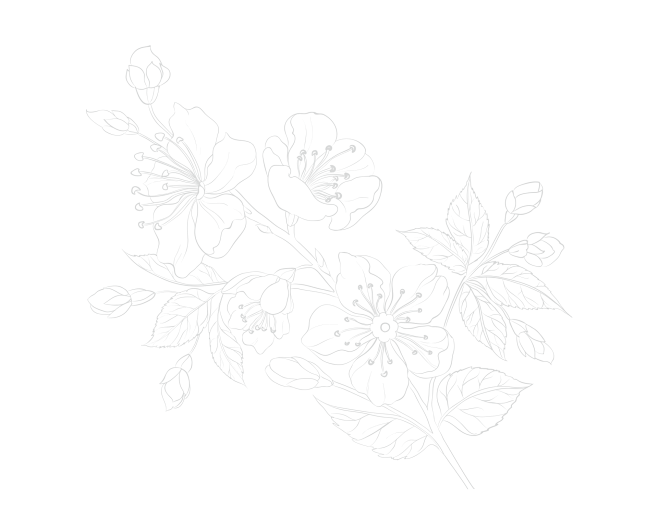 线描花