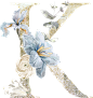 水彩清新花卉植物LOGO图标婚礼海报装饰透明免抠PNG图案装饰素材 (17)
