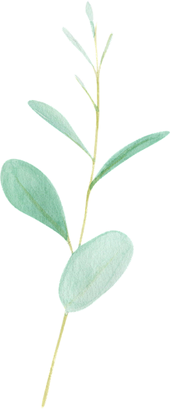 刘小舞采集到植物素材