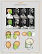 Anatomy For Sculptors: Understanding the Human Figure - Paperback : Our Mission Is To Empower Artists By Making Anatomy Visual And Understandable Bringing It Into Modern Era. Anatomy For Artists. Books With Only 2% Text. Self-Explanatory 3D And Live Model