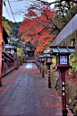 Sunjusangen花园，东山（京都），日本