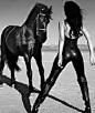 black horse love | equine