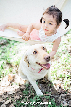 さあ❤화이팅采集到动物