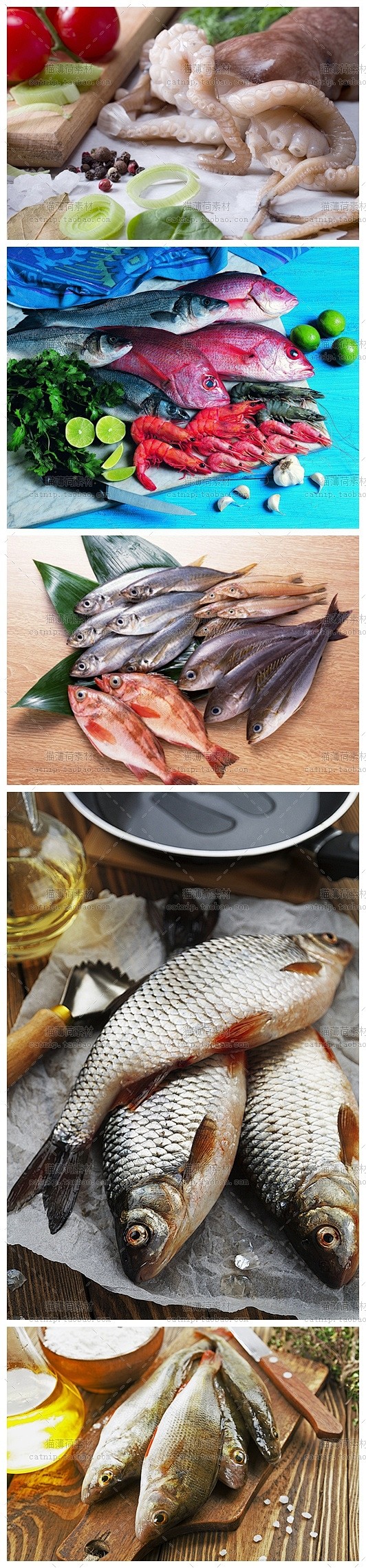 [gq65]30张新海鲜鱼虾鱿鱼食材摄影...