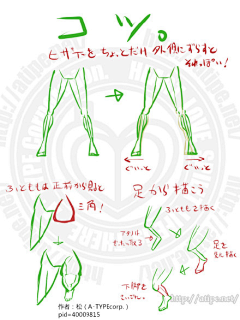 xiyoyoyo采集到人体结构