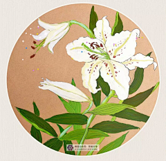 yik-yu采集到植物