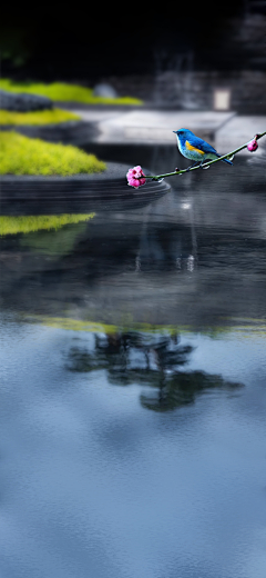 孙淘淘采集到节气