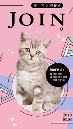 宠物海报招聘系列