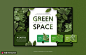 电脑页面树叶堆积绿色空间春季网站海报 APP界面 摄影旅游