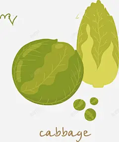 卡通手绘蔬菜高清素材 卡通 手绘 白菜 蔬菜 免抠png 设计图片 免费下载