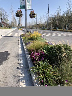 别墅花园设计师采集到道路