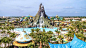 Theme Park Material Suppliers - amaZulu, Inc. : amaZulu a leading theme park material supplier. We are your source for theme park tropical building materials. We love working with theme park and water park builders to help them create a tropical oasis.