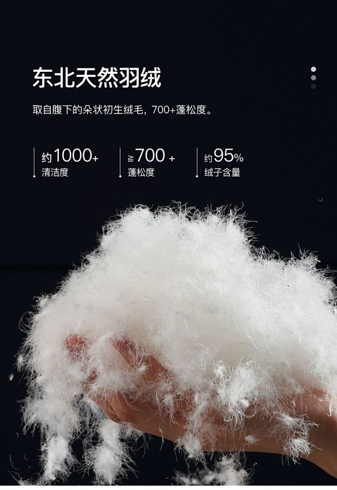 毛毛3