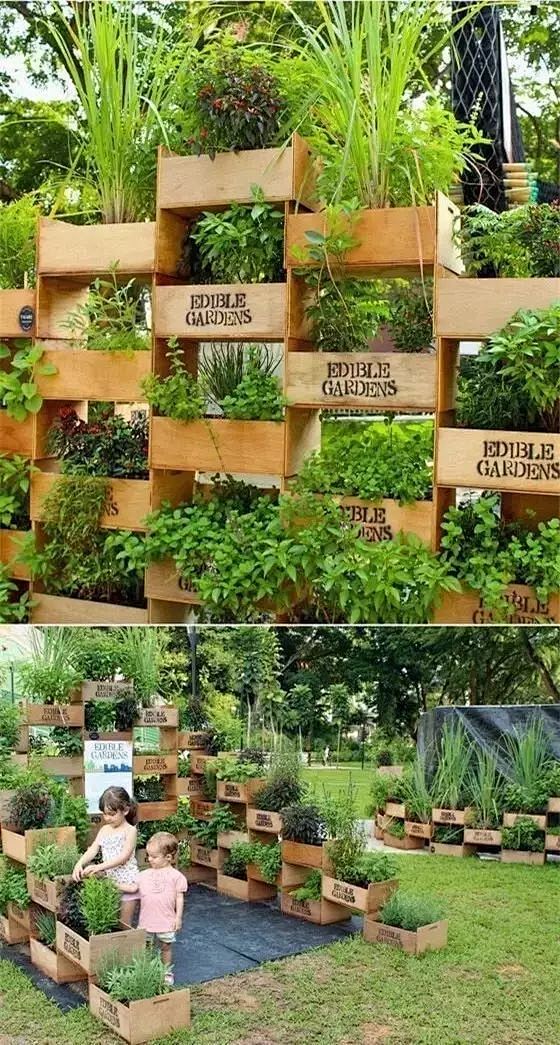 愿有一院，种菜！_菜园 : 如果你在城市...
