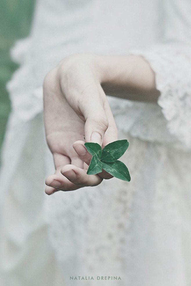 Natalia Drepina作品賞析（...