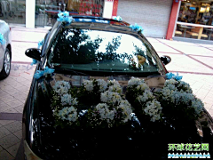 墨香销流年采集到花车