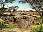 Comstock Landscape Architecture, Inc.
