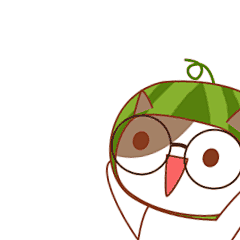 西瓜猫_跑来跑去
