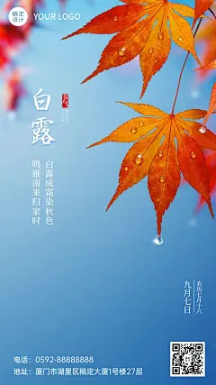 白露节气祝福秋天枫叶实景手机海报