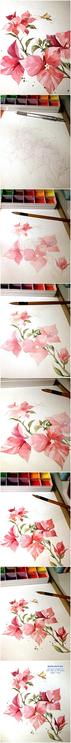 懒猫的尾巴采集到水彩插画