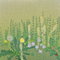 日本画家野地美樹子画笔下温柔淡雅的花草植木 ​​​​