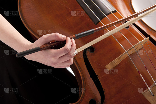 特写在手与弓弹奏低音