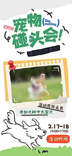 卡通宠物萌宠活动宣传海报