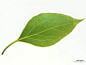 勶_054_1024_768