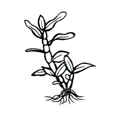 jiaa36采集到插画|摄影