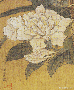 oyyxdy828采集到宋人花鸟