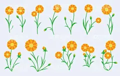 菊花图片  - 源文件下载【酷图网】花边,无缝图案背景,花卉,植物,紫丁香,丁香花,无缝花纹,时尚底纹背景,印花底纹,花纹背景,粉红色背景,圆形花纹,花纹,经典花纹,壁纸,背景,背景墙,移门图案,欧式花纹,复古花纹,现代花纹,时尚花纹,底纹,纹路,图案,经典图案,墙纸,瓷砖图案,抽象花纹,抽象,布料图案,印刷,可爱,碎花,碎花图案,
