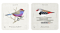 birds Nature animals cards biology science infographic wings feathers natural history
