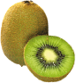猕猴桃PNGPNG透明免扣PNG水果苹果香蕉猕猴桃树叶叶子樱桃水彩透明求关注！design