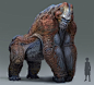 Alien gorilla design, sui yangyang : some  different  ideas