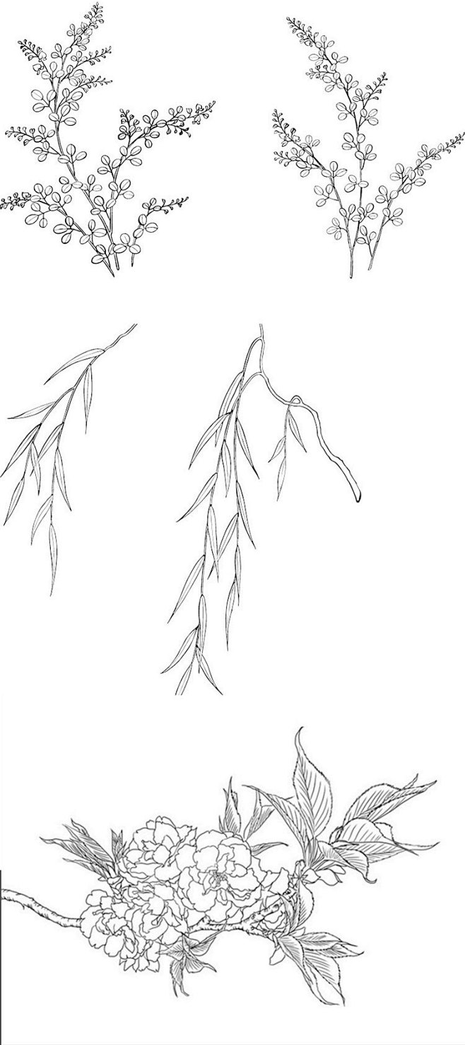 081园林植物树木绘画技法手绘速写线稿风...