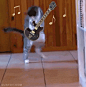 tumblr_md6mpn8g7Z1qa5rnho1_400.gif (281×284) #萌#