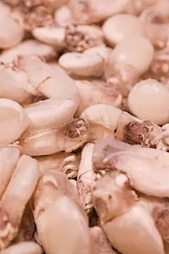 冰柜冻八爪鱼海鲜美食摄影图