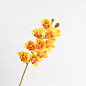 Lancol高档中式仿真花 3D黄色蕙兰花 家居样板间客厅装饰摆件假花-淘宝网