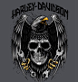 Harley-Davidson (3)