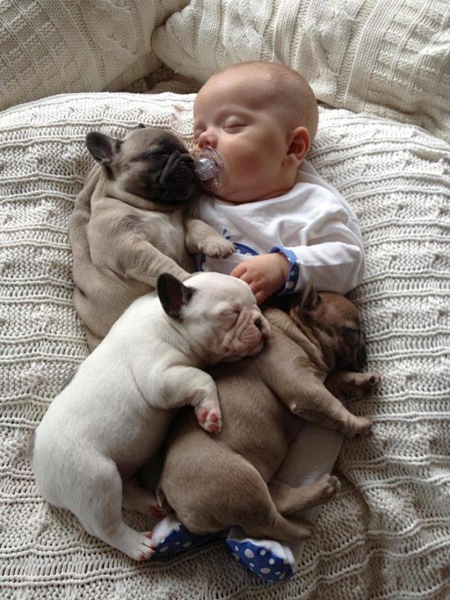 人像摄影：与狗狗一起睡觉的婴儿