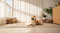 ls7623_On_top_of_a_wooden_floor_a_Golden_Retriever_sits_on_a_ca_6be9d11d-2a8c-4c33-b2ff-749bb2a6ed31